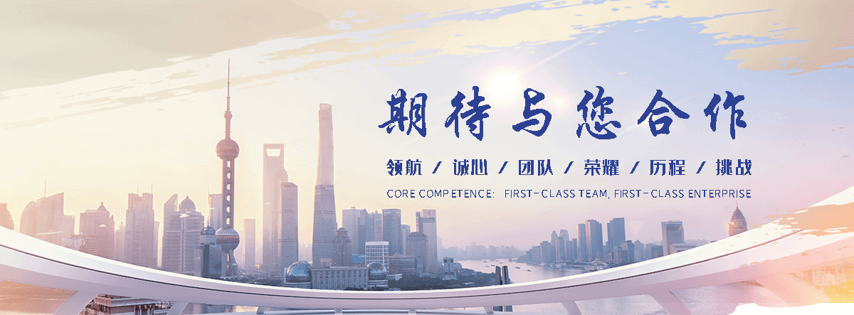 林甸优化公司哪家好